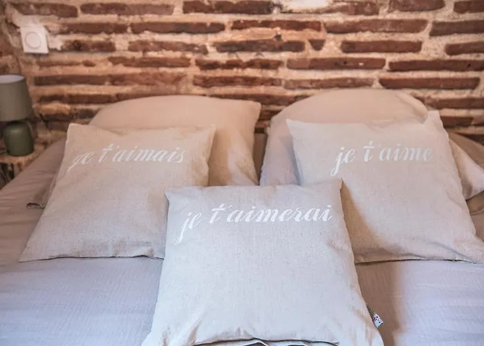 6 Pers Centre Et Confort Apartment Agen